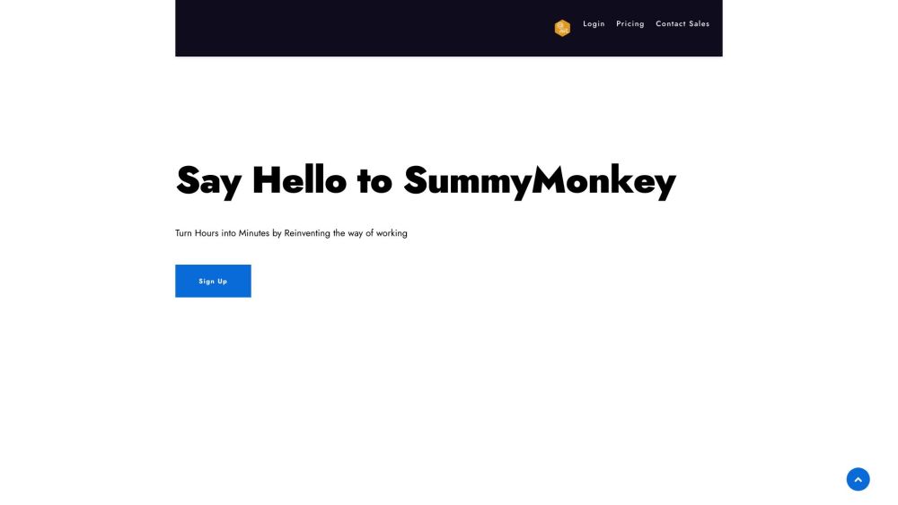 SummyMonkey: Multilingual AI Tool for Summarizing & Insights