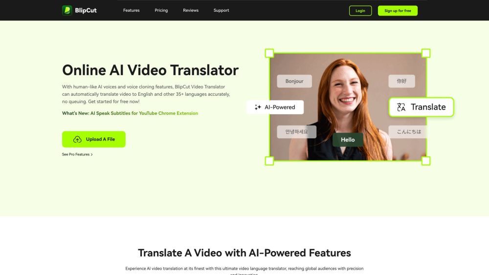 BlipCut AI Video Translator: Translate videos to English & 35+ languages accurately with this online AI tool