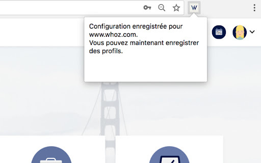 Whoz Extension: AI Tool to Capture Profiles