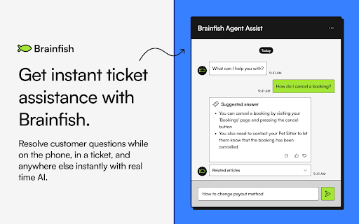 Brainfish: AI Tool for Instant Answers