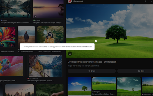 ImageAlt - Chrome Extension: AI Tool for Alt Text
