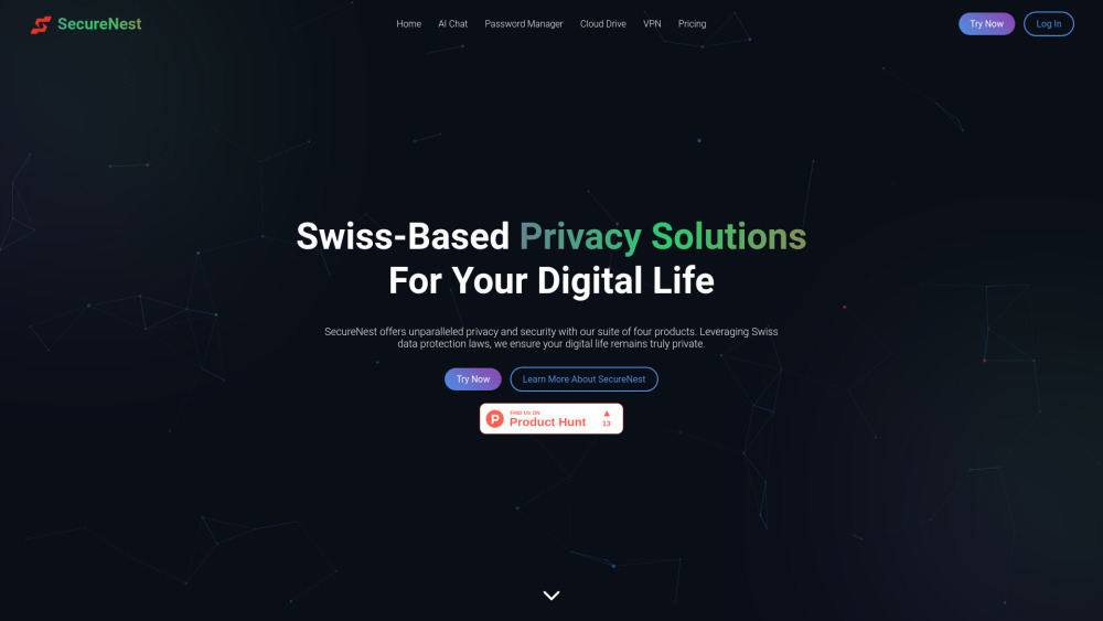 SecureNest: Swiss Privacy Solutions & AI Tool