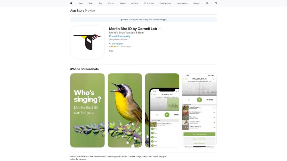 Merlin: AI Tool for Quick Bird ID & Learning